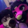 Reisbarks@ home's profile picture