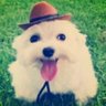 teddy madeira ✠ profil fotoğrafı