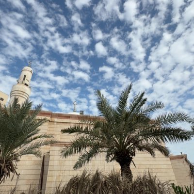 MOHAMMEDRAGAH's profile picture