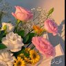 REEM🇸🇦's profile picture