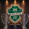 الاهلي فن 💚🤍💚🤍💚🤍 profil fotoğrafı