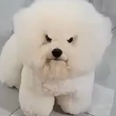 TailWagDaily's profile picture