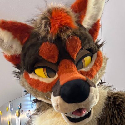 Yapp N Racc's profile picture