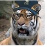 Mo's profile picture