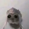 Profilbild von tonoteuquarto🧟♀️