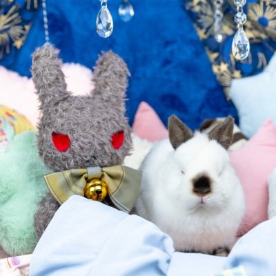 テント◆糀谷's profile picture