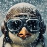 Profilbild von PenQuiQui