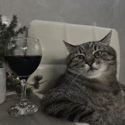 pianetiintesta's profile picture