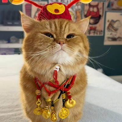 zhunubaotuan10's profile picture
