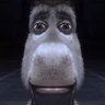 ChampagneRizzy's profile picture