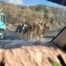 نادر ŃSKA profil fotoğrafı