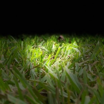_Marl0n's profile picture