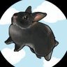 Фото профиля 🐰🫧