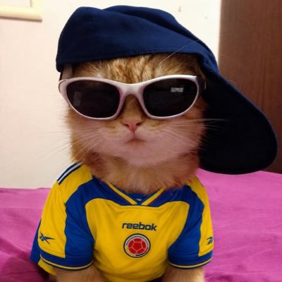 Rojito's profile picture