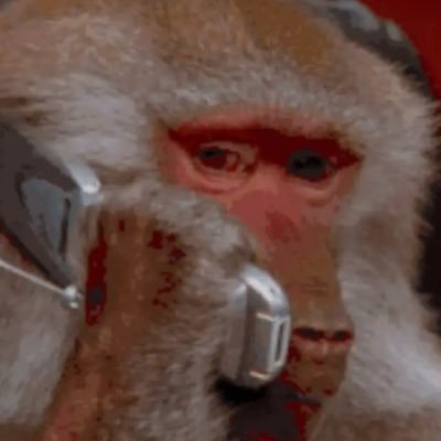 reej's profile picture