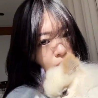 yulelle 💭's profile picture