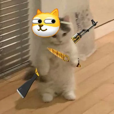 CsBuggy's profile picture