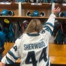 hay 🦈's profile picture