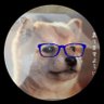 豆柴R(高橋たかあき) profil fotoğrafı