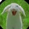 Thee Smelvis's profile picture