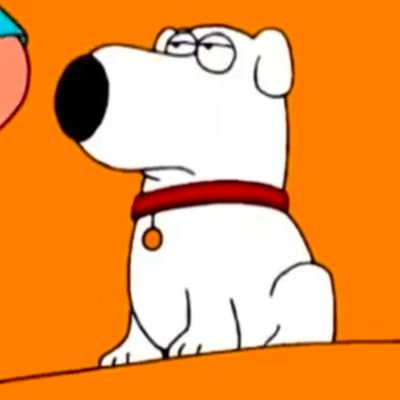 frank zeppo's profile picture