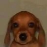Zencho? าฬถแดฬถแดฬถ's profile picture