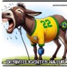 Jumento 22 🇧🇷🚩🚩 的头像