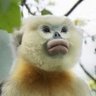 Xiao Hun Ge profil fotoğrafı