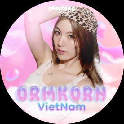 OrmKornVN 🇻🇳 (พชรฐากูร)'s profile picture