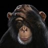 Kevin Hastings's profile picture