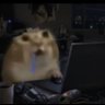 geniusOS 的头像