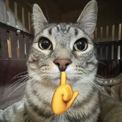 Mas's profile picture
