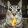 Mas's profile picture