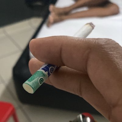 cavaloOculto9's profile picture