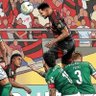 Iggor Oliveira's profile picture