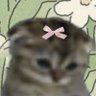Profilbild von killia🌷