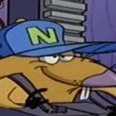 misswhynowhy's profile picture