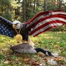 Chaser's profile picture