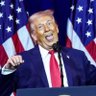 Unite against Trump!'s profile picture