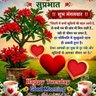 Shrikant Zinjarde's profile picture