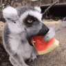 L 3 M U R 🍉's profile picture
