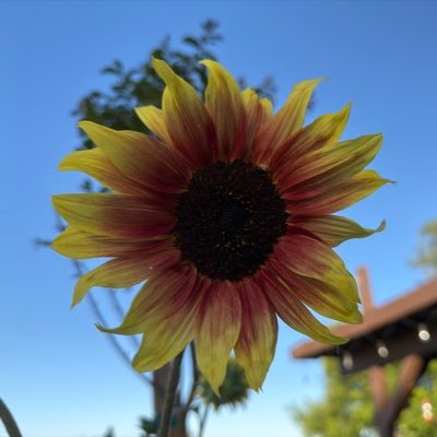 Hey_Jessie2910's profile picture