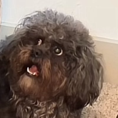 🤎🧸's profile picture