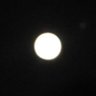 ぬし's profile picture