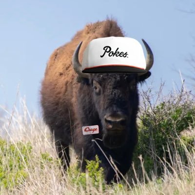 BuffalOKstate's profile picture