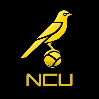Norwich City Updates's profile picture
