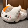 竜馬's profile picture