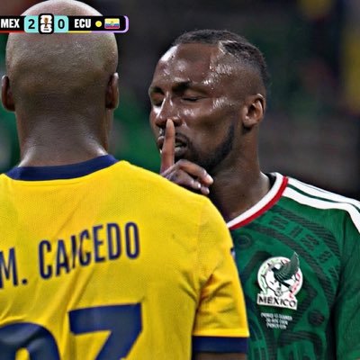 Domador's profile picture