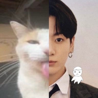 toe socks's profile picture
