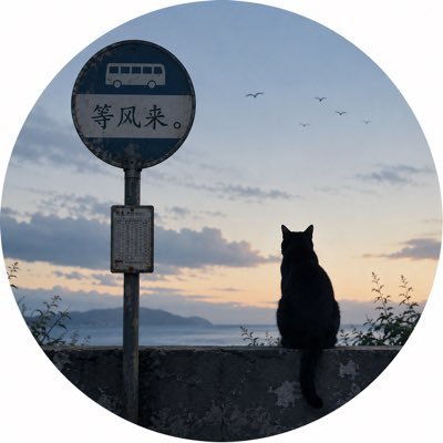 等风来's profile picture